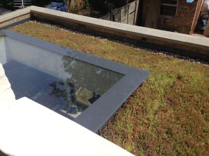 Sedum Green Roof Case Studies