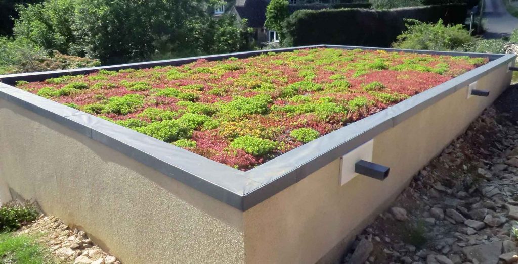 british green roof