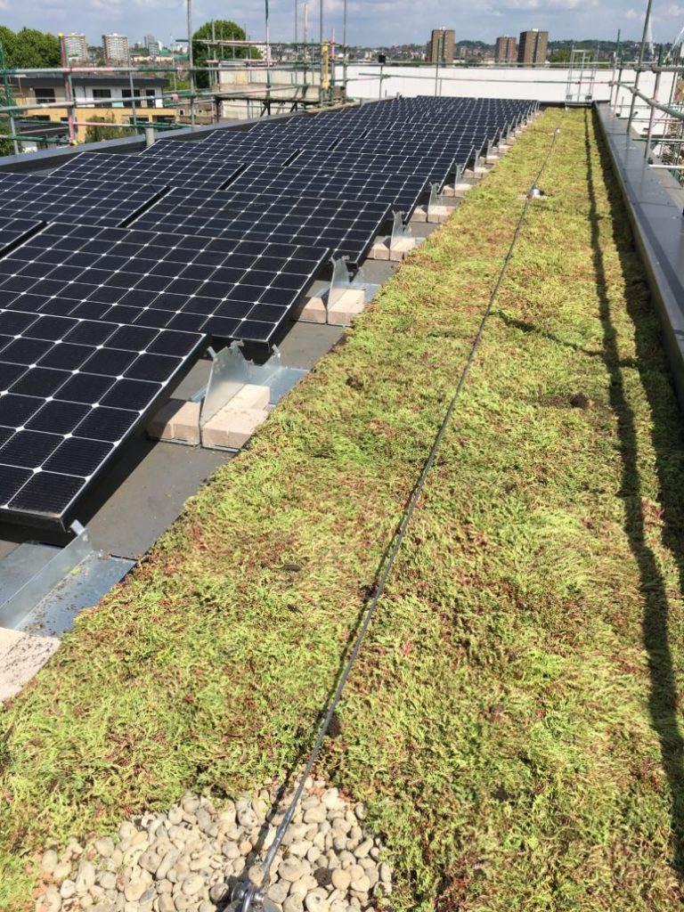 Bio Solar roof - sedum green roof